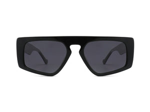 Hudson Polarized Sunglasses